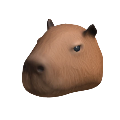 capybara head