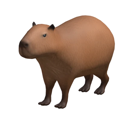 capybara