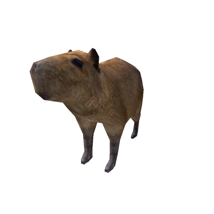 capybara