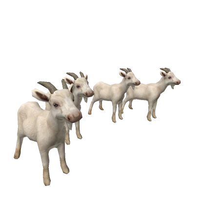 Goat Army