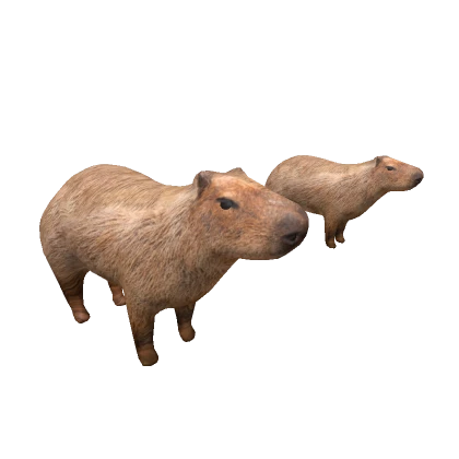 Double Capybara