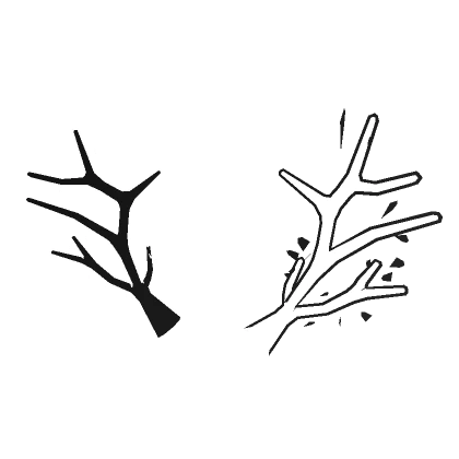 Yin & Yang Antlers