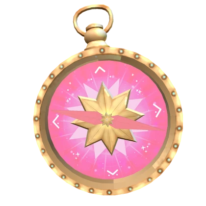 Pink Compass Earrings