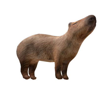 Giant Capybara