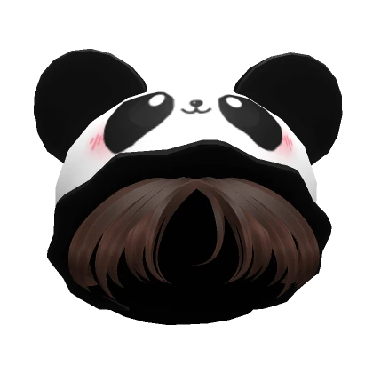 Brown Panda  Boy Beanie