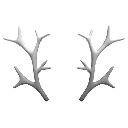 White Exotic Antlers