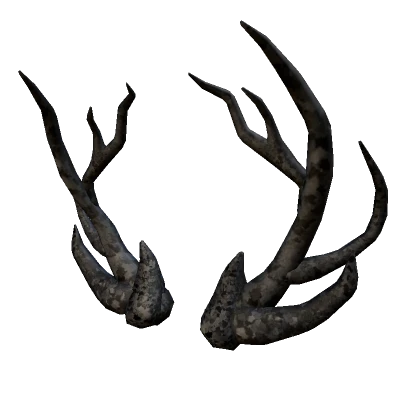 Nightly Antlers