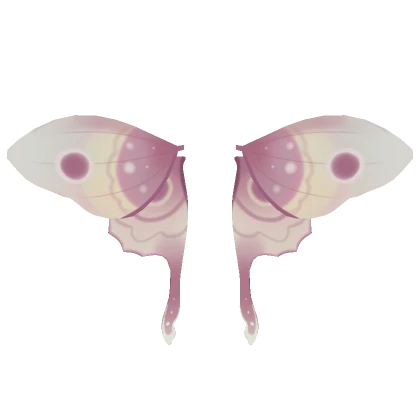 Pink Fairy Moth Wings