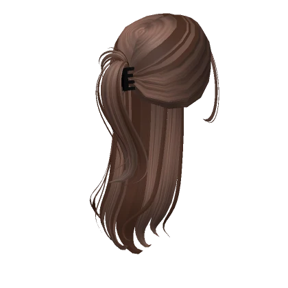 Brown Highlighted Half up Hair w/ Claw Clip