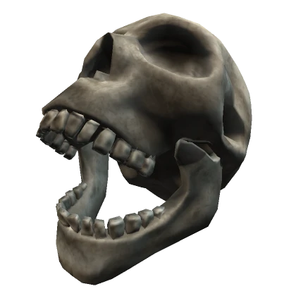 Open Skull Head