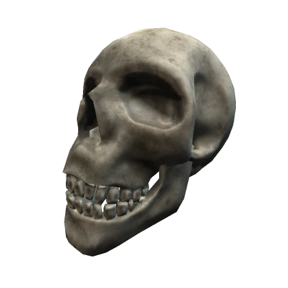 Skull Head