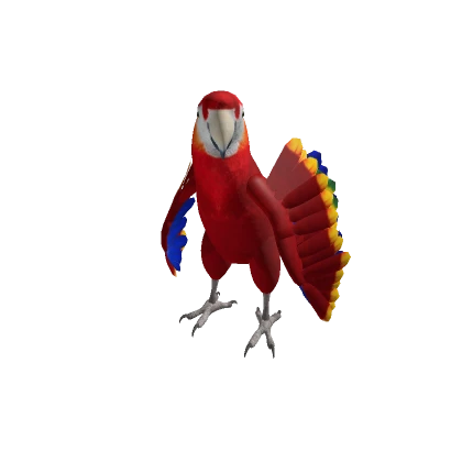 Scarlet Macaw Parrot