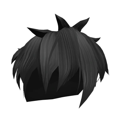Black Spiky Hair