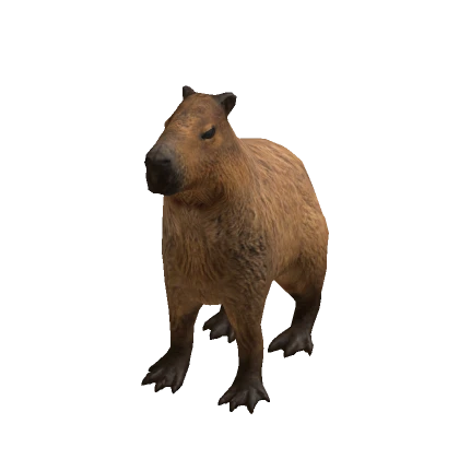 Realistic Capybara Costume