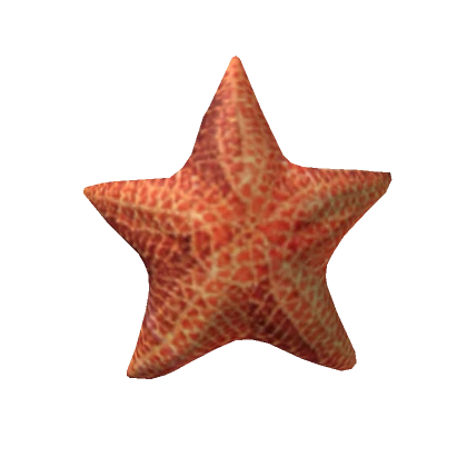 starfish