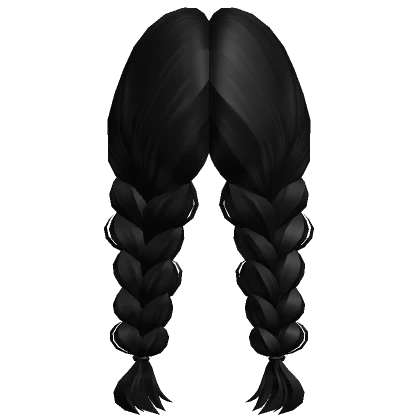 Double Braided Hair in Black