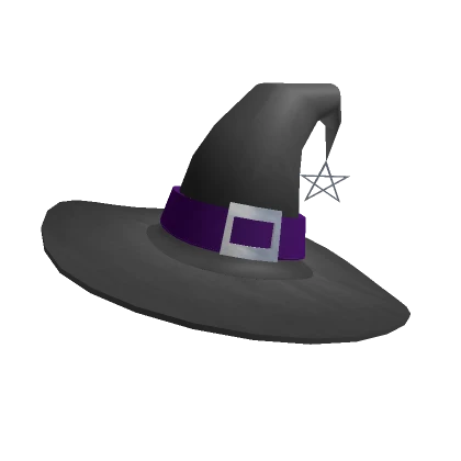 Witch hat in Black & Purple