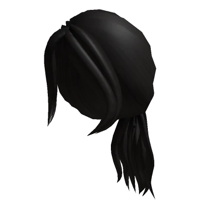 Black Ponytail Girl Hair