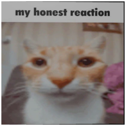 my honest reaction pfp