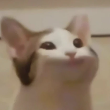 Pop Cat Meme PFP