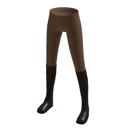 Brown Leggings with Boots