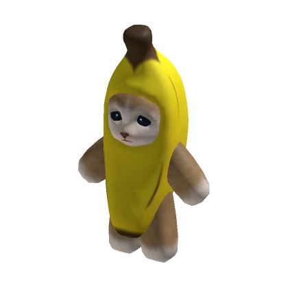 Banana Cat Suit