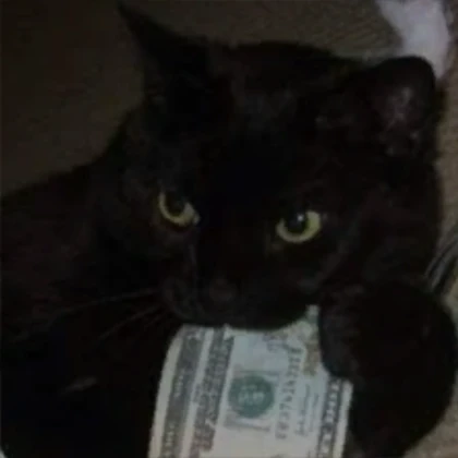 Rich Money Cat Pfp