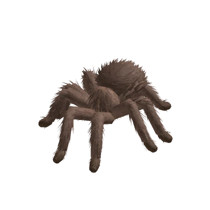 Tarantula Animated (Brown)