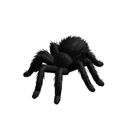 Tarantula Animated (Black)