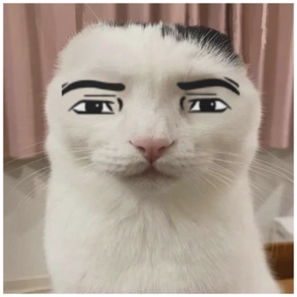 serious cat man face meme pfp