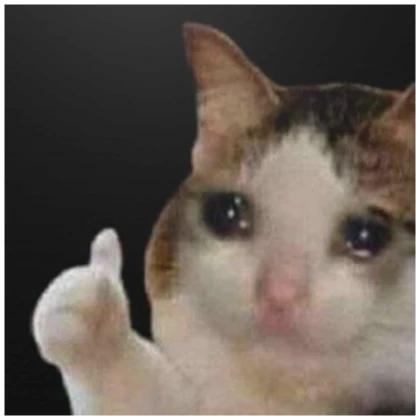 sad cat meme pfp