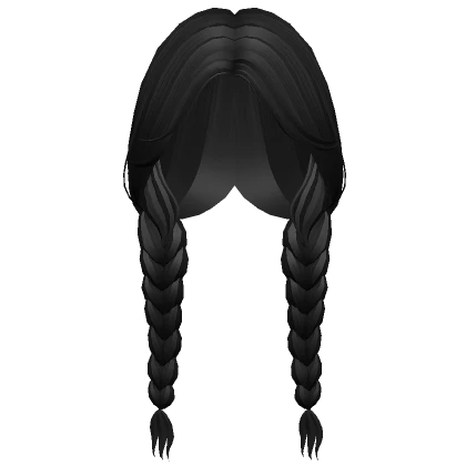 Long Black Braids