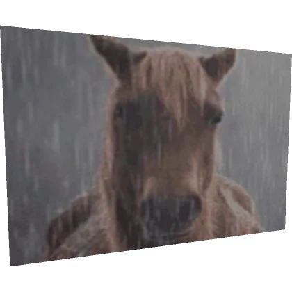 Sad Horse 