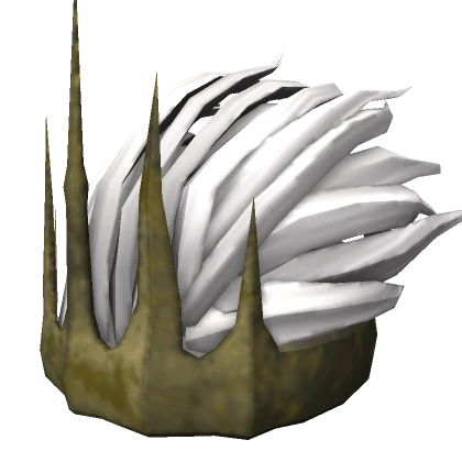 Nameless King's Crown