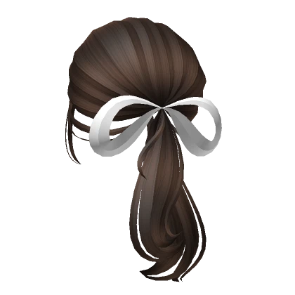 Preppy Clean Ponytail Hairstyle in Brown