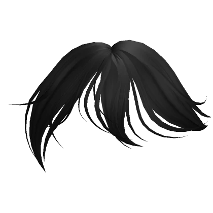 Long Wispy Bangs in Black