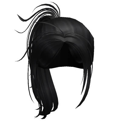 Stylish Black Ponytail