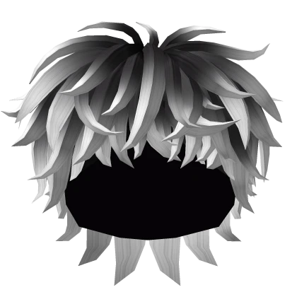 Wavy Messy Hair in Black to White
