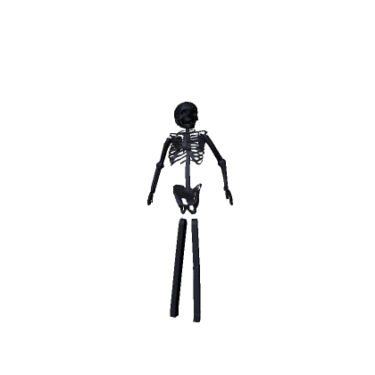 Thin Tall Black Skeleton Bundle [Steal a Brainrot]