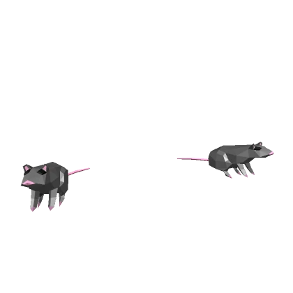 Two funny companion rats