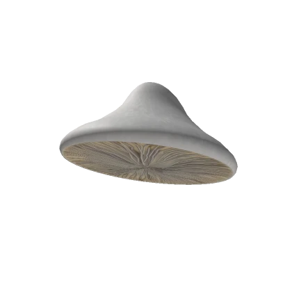 White Mushroom Hat