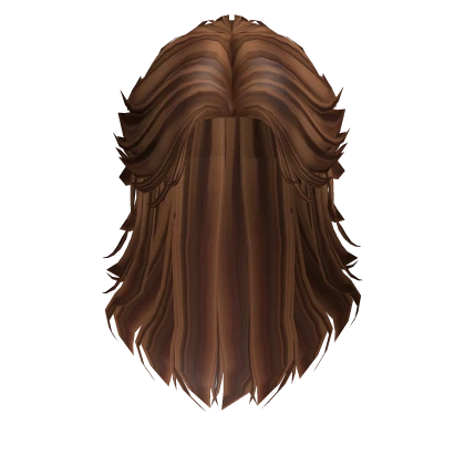 Long Messy Mullet in Brown Streaks