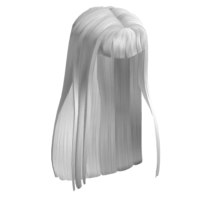 Long Straight Hime Hair