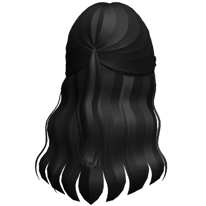 Black Wavy Hair With a Ponytail