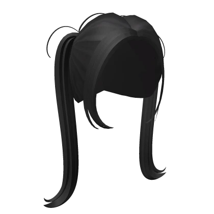 Long Black Middle Part Pigtails