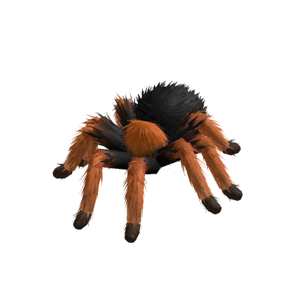 Tarantula Animted (Black Orange)