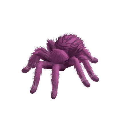 Tarantula Animated (Pink)