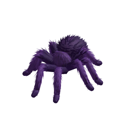 Tarantula Animated (Purple)