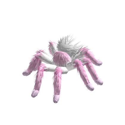 Tarantula Animated (White Pink)