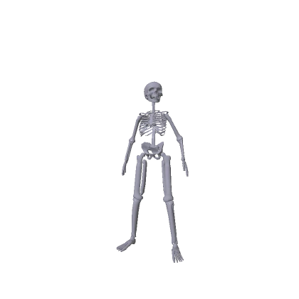 ✅Skeleton✅ (Recolorable)